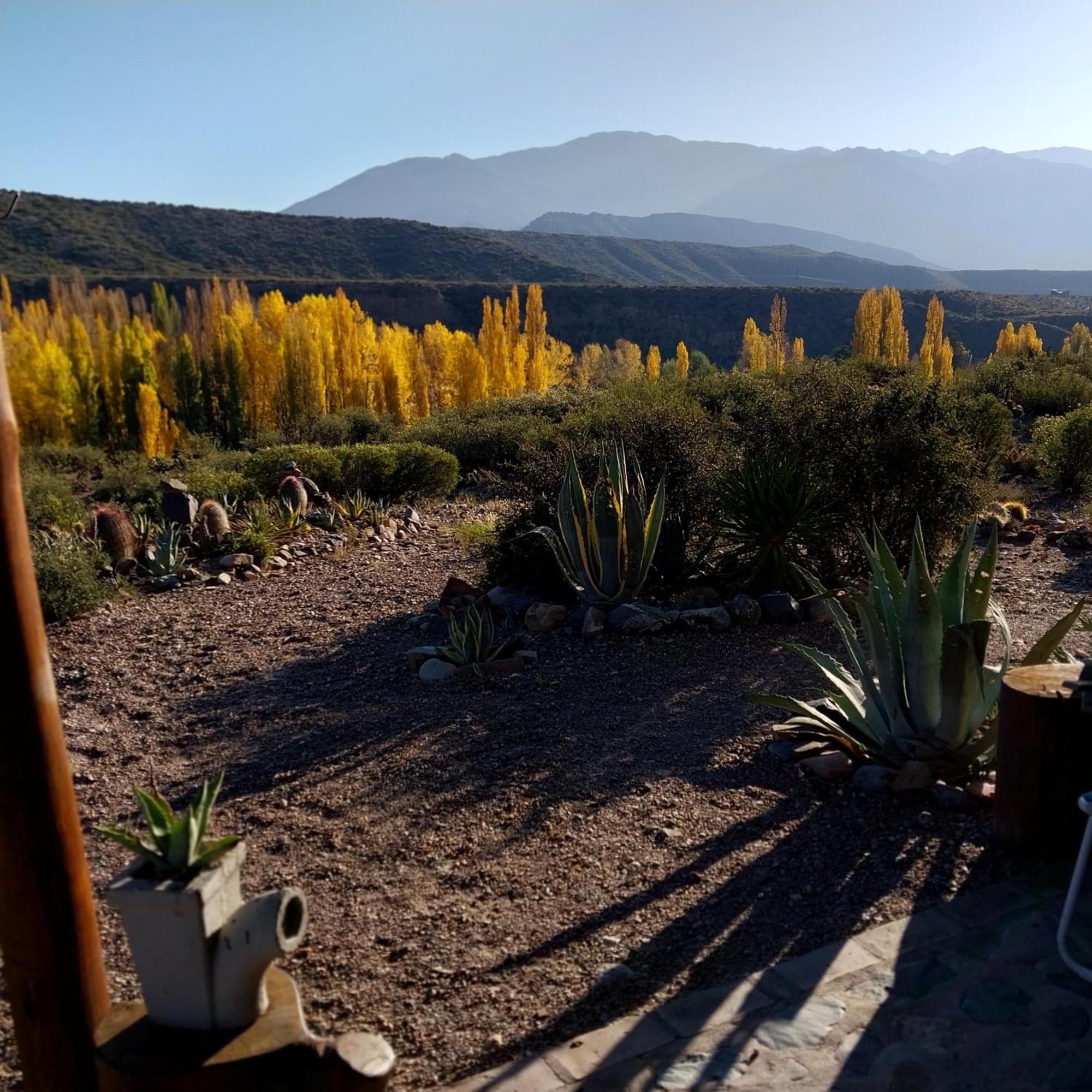 Cabana La Mostacita - Complejo El Taller Potrerillos Eksteriør bilde